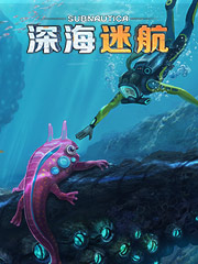 便宜长袖t恤批发